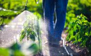 Substâncias facilitam a vida do agricultor, mas podem ter consequências à saúde humana e ao ambiente - iStock