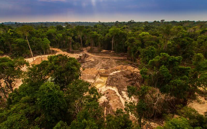 Mineração ilegal causa desmatamento e poluição fluvial na floresta amazônica perto da Terra Indígena Menkragnoti, no Pará - iStock