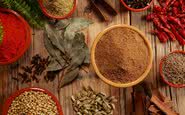 Temperos como o garam masala, indiano, é uma opção mais saudável e apetitosa ao sal - iStock