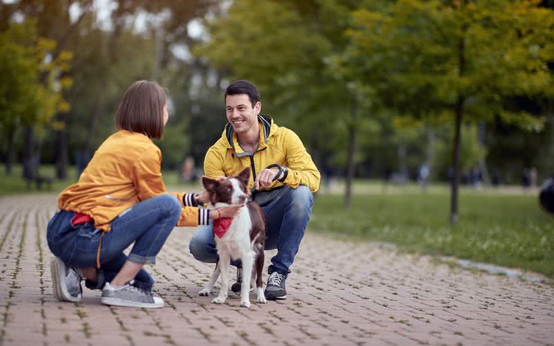 Tutores de cães têm mais chance de conversar com pessoas que não conhecem quando caminham com o pet - iStock