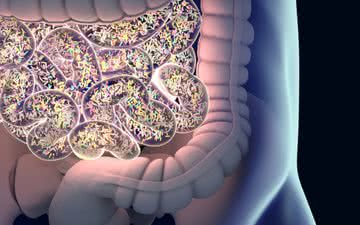 O microbioma intestinal desempenha um papel importante no controle de peso - iStock