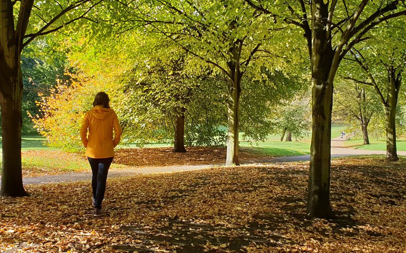 Passar tempo em contato com a natureza é como apertar o botão de "reset" - iStock