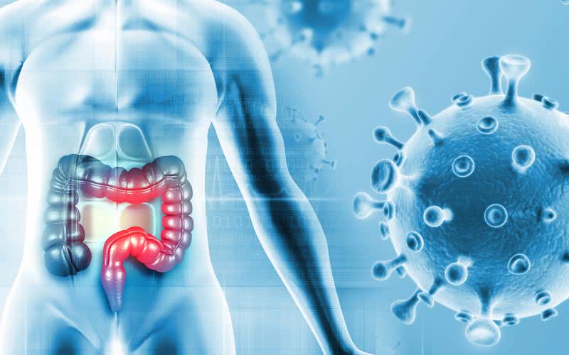 Câncer colorretal: sintomas são sangue nas fezes, cólicas e até fadiga