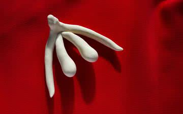 Modelo de um clitóris em 3D: conhecer o próprio corpo é fundamental para uma vida sexual plena - iStock
