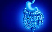 Existem vários fatores de risco para as doenças inflamatórias intestinais, como a doença de Crohn - iStock