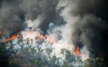 As queimadas na Amazônia causam graves problemas respiratórios em diversos estados - iStock