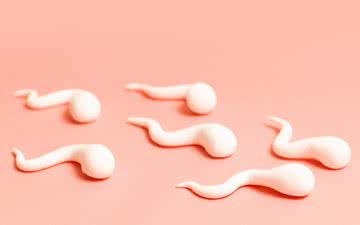 Imagem Sete fatos curiosos sobre a ejaculação