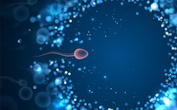 Nem sempre o resultado desses exames indica infertilidade - iStock