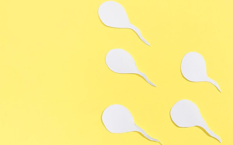 Imagem Quanto tempo o espermatozoide sobrevive fora do corpo?